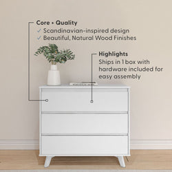 Modern 3-Drawer Dresser Dresser Plank+Beam