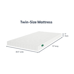 5 Inch Twin Comfort Memory Foam Mattress Mattresses Plank+Beam