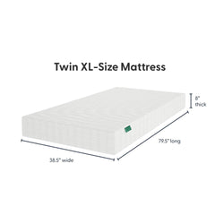 8 Inch Twin XL Comfort Memory Foam Mattress Mattresses Plank+Beam