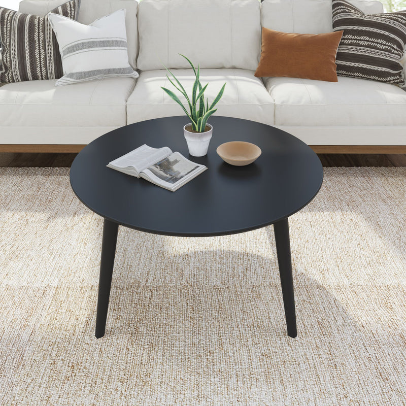 Modern living room with black round coffee table, indoor plant, book, and cozy white sofa on textured rug.
