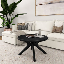 Modern living room with white sectional sofa, black round coffee table, and large potted plant.