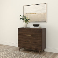 Stylish modern dresser with a dark wood finish, featuring three drawers and decorative tabletop items, set in a minimalist room with a textured area rug and abstract wall art.