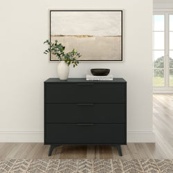 Stylish modern black dresser with three drawers, decorated with houseplant and art, in bright minimalist living room.
