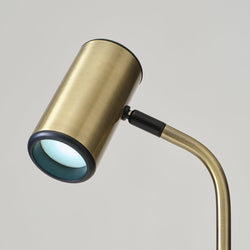 Brushed brass adjustable LED reading lamp with swivel cylindrical spotlight head and curved stem, modern floor lamp
