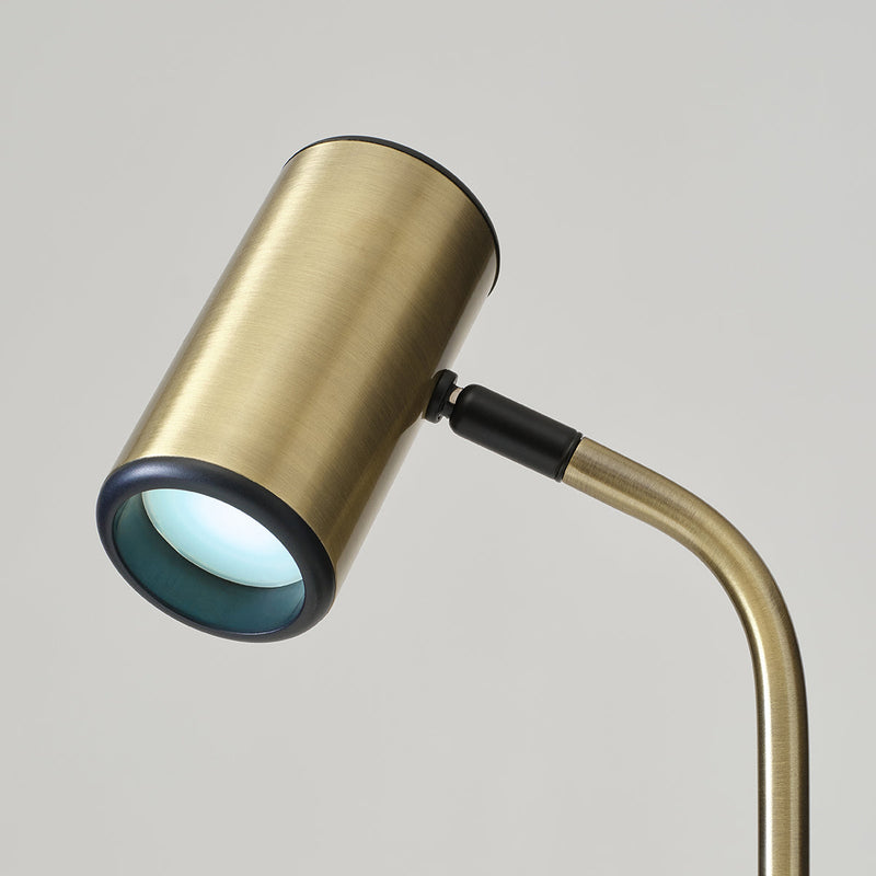 Brushed brass adjustable LED reading lamp with swivel cylindrical spotlight head and curved stem, modern floor lamp