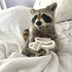 Snug Throw by Sunday Citizen Throw Blanket Sunday Citizen 