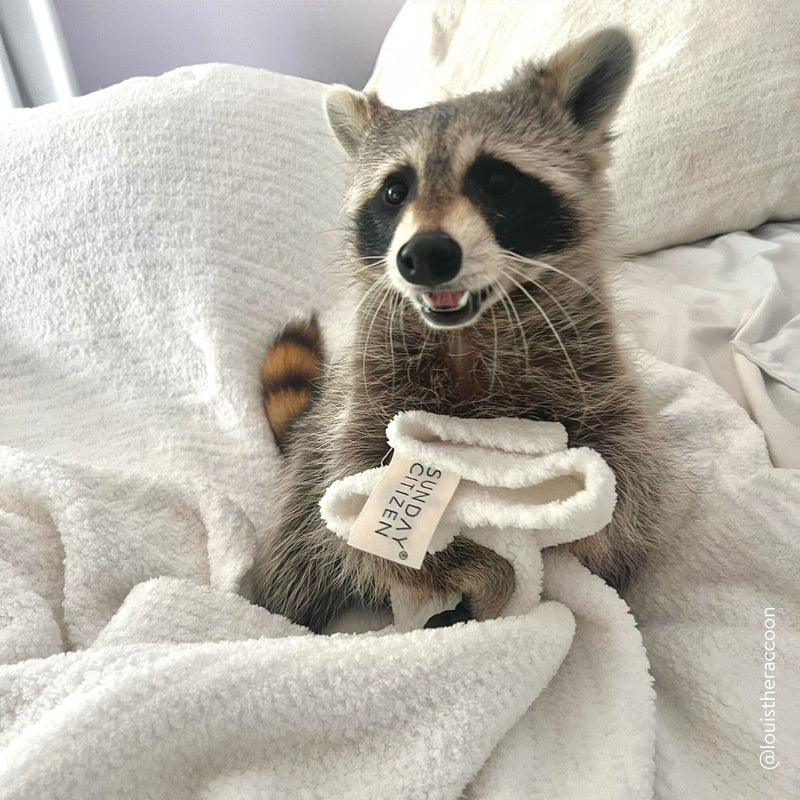 Snug Throw by Sunday Citizen Throw Blanket Sunday Citizen 