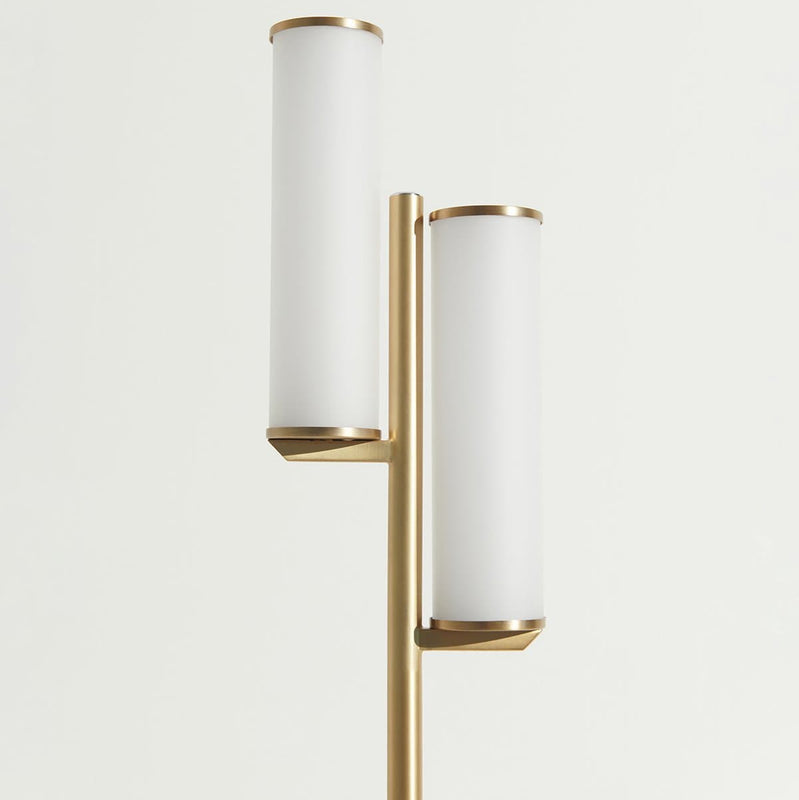 Modern brass floor lamp with dual cylindrical frosted glass shades, gold finish vertical standing lamp for living room lighting