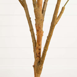 Close-up of three natural brown tree branches with textured bark on white shiplap background, decorative wood stems for home decor