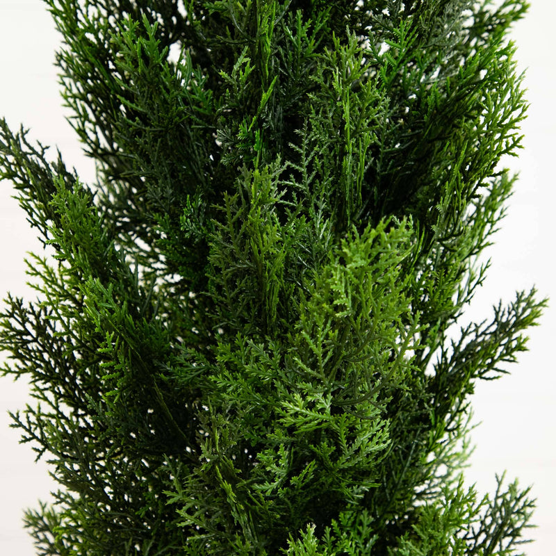 Close-up of dense green evergreen foliage (cypress/arborvitae), textured branches for garden landscaping and outdoor greenery