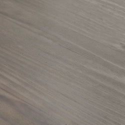 Rustic Panel Bed - Twin Single Beds Plank+Beam 